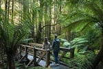 Boutique Accommodation Retreat + Freehold - Dandenong Ranges