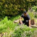 Freehold + Proven Hospitality Business in Meander Valley image