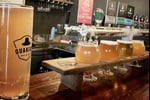 Craft Brewery and Taproom - Northern Beaches, NSW For Sale