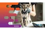 34576 Exciting Opportunity: Turnkey Mobile Dog Grooming Service