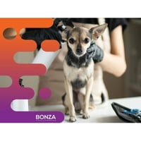34576 Exciting Opportunity: Turnkey Mobile Dog Grooming Service image
