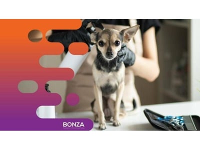 34576 Exciting Opportunity: Turnkey Mobile Dog Grooming Service image