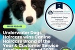 Award-Winning Australian Dog Haircare Brand with Global E-Commerce Opportunity