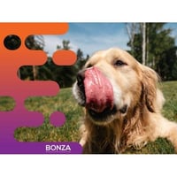 36479 Established Pet Food Manufacturing Business - Growing Market image