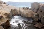 Harvest Tours - Accessible Tourism Business Margaret River