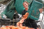 Seafood Distribution - 3 Days Only