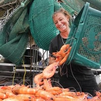 Seafood Distribution - 3 Days Only image
