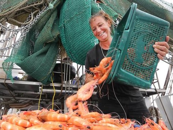 Seafood Distribution - 3 Days Only