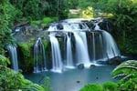 Restaurant & 3-Bed Residence North QLD - 5996