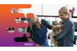 35643 Established Dog Grooming & Daycare Business - Growth Potential