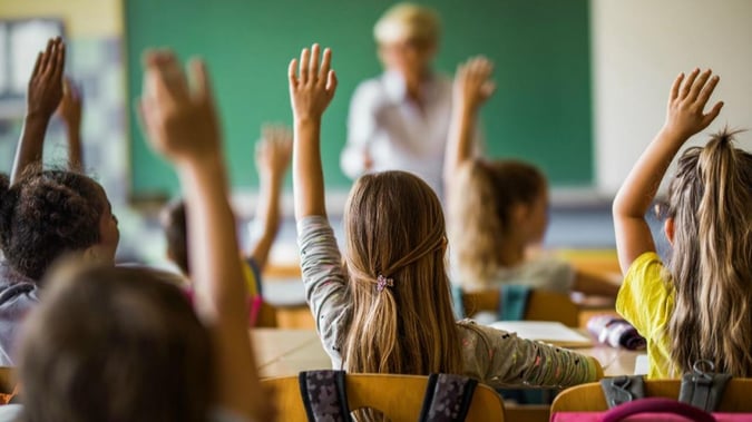 Unique, Import, Wholesale/Distribution and Online School Products Business #424