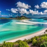 Hospitality Lease for Sale in Paradise: Beachside Bar Grill image