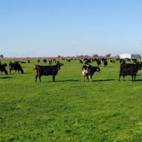 Freehold Property in the Goulburn Valley Ref: 17139 image