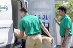 Turnkey carpet cleaning business with Van included.