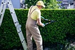 Established Garden Maintenance Business - Recurring Clients