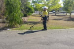 Ground Maintenance & Asset Management - Townsville
