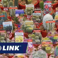Top QLD Wholesale Succulent Nursery + Freehold image