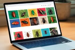 Online Store Specialising in Insects / Bugs for Pets - Adelaide, SA
