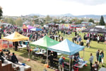 Unique, Market Leading, Low Competitor Niche Industry, Event/Activity and Adventure Hire Service #401