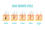 Exciting Business Opportunity in the Hair Loss Treatment Industry - Sydney, NSW