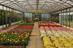 Horticulture, Nursery and Agriculture Businesses for Sale