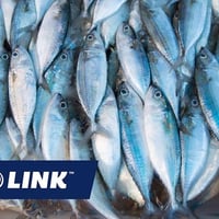 Profitable Commercial Fishing Business for Sale image