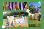 Established Business: Heritage Clothes Hoist