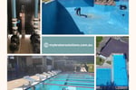 Swim in Success - Sale: Pool Maintenance Company