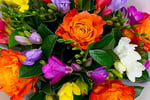 Wholesale Plants -  45years One Owner