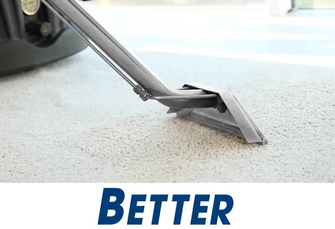 Exceptional Carpet Cleaning & Pest Control