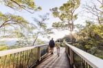 Noosa, Sunshine Coast Tour & Charter Business Three Brands, One Opportunity