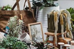 Boutique Plant / Garden Nursery & Giftware Store  Creative Lifestyle Business | Sydney
