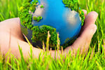 Waste Management business for sale