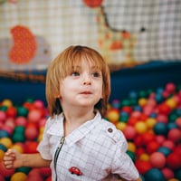 Fully Equipped Childrens Play Centre, Cafe, $199K WIWO, Sutherland Shire | ID: 1400 image