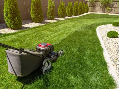 Property Maintenance & Landscaping Business - 5874 image