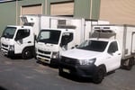 Turnkey Managed Frozen Goods Courier with Reliable Employees