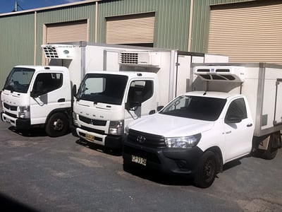 Turnkey Managed Frozen Goods Courier with Reliable Employees image