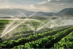 Established Irrigation, Pump & Outdoor Power Business