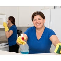 Great Cleaning Contract Business - Perth image