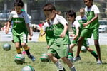Kids Soccer Coaching Business