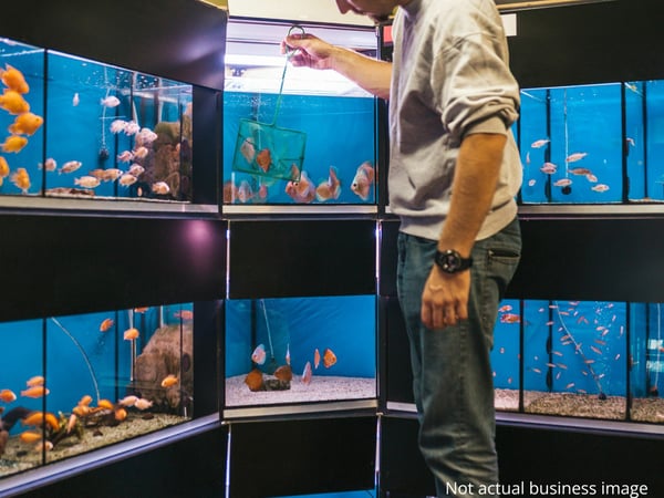 URGENT SALE! Aquarium Supply ONLINE Business(in Liquidation) - QLD