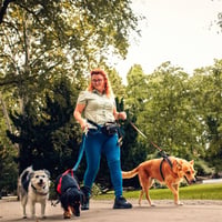 Lifestyle Dog Walking Business image