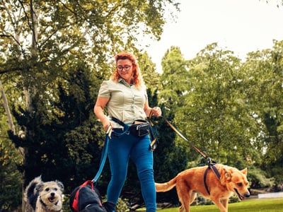 Lifestyle Dog Walking Business image