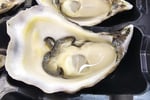 Fresh Seafood Business - Profitable
