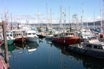 Wholesale and Retail Marine / Boating Supplies