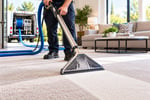 PEST CONTROL | CARPET CLEANING BUSINESS | 432K REVENUE | REGIONAL NSW
