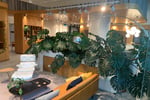 High-Margin Plant Service Business