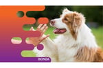 36875 Longstanding & Highly Reputable Dog Training Business - Proven Operation