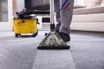 Exceptional Carpet Cleaning & Pest Control