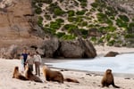 Award Winning EcoStar Tourism Business - Kangaroo Island